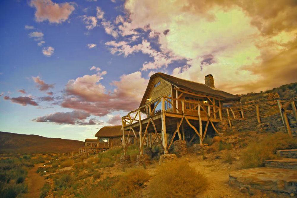 Aquila Private Game Reserve - Luxury Cottage