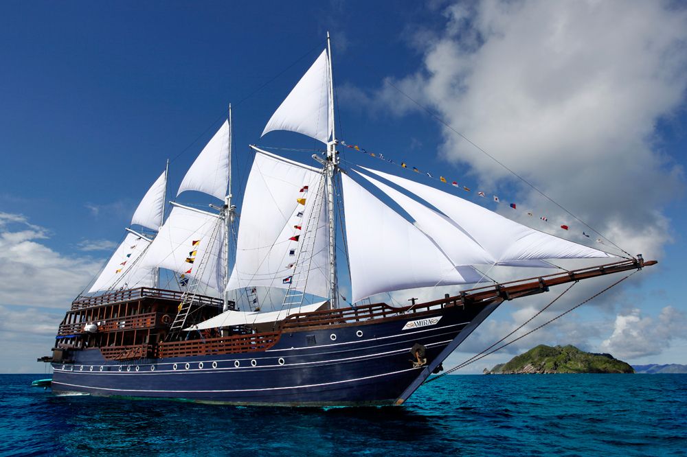 MSV  Amira
